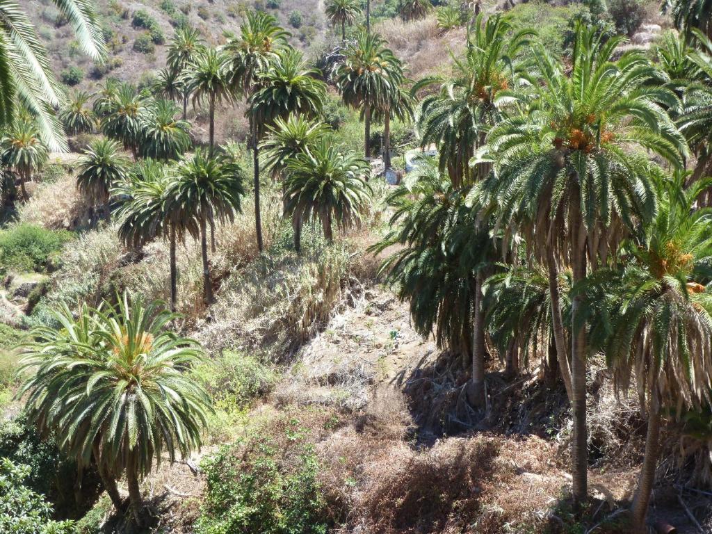 Apartamentos Bellavista Gomera Playa de Santiago  Ngoại thất bức ảnh