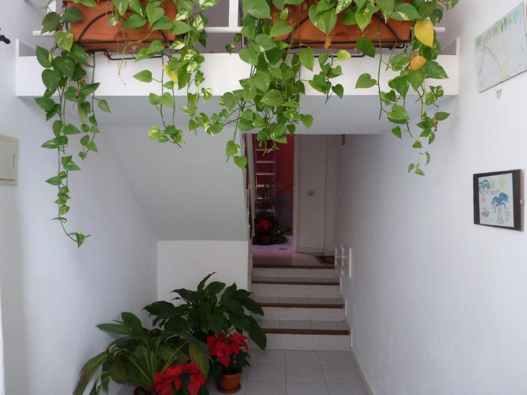Apartamentos Bellavista Gomera Playa de Santiago  Ngoại thất bức ảnh